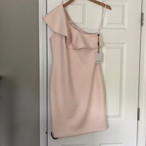 Calvin Klein light blush dress
